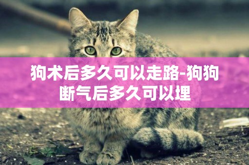 狗術后多久可以走路-狗狗斷氣后多久可以埋