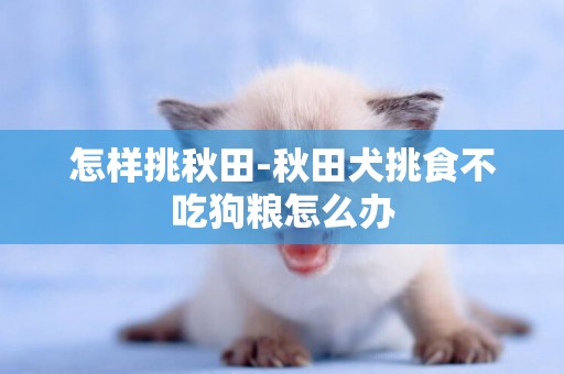 怎樣挑秋田-秋田犬挑食不吃狗糧怎么辦