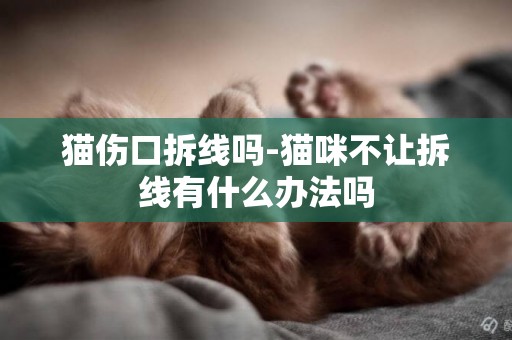 貓傷口拆線嗎-貓咪不讓拆線有什么辦法嗎