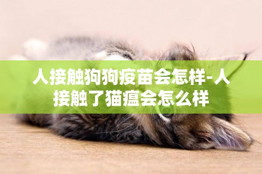人接觸狗狗疫苗會怎樣-人接觸了貓瘟會怎么樣