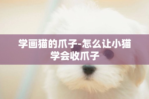 學畫貓的爪子-怎么讓小貓學會收爪子