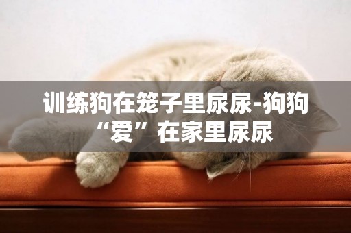 訓練狗在籠子里尿尿-狗狗“愛”在家里尿尿