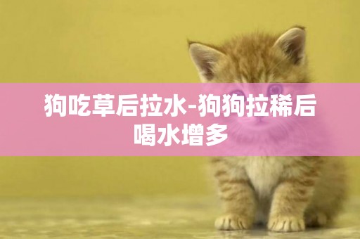 狗吃草后拉水-狗狗拉稀后喝水增多