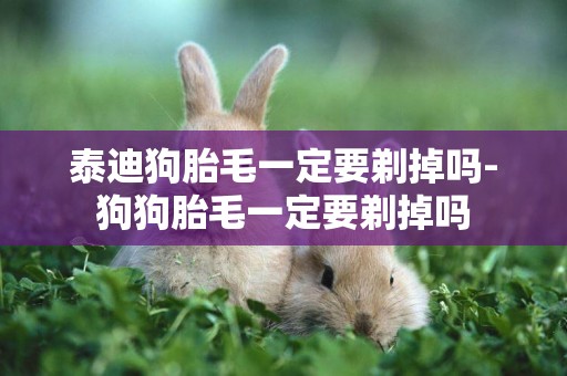 泰迪狗胎毛一定要剃掉嗎-狗狗胎毛一定要剃掉嗎