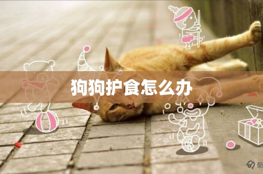狗狗護食怎么辦