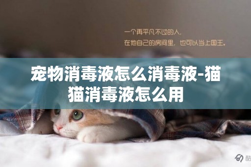 寵物消毒液怎么消毒液-貓貓消毒液怎么用