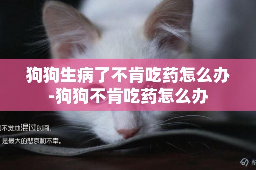 狗狗生病了不肯吃藥怎么辦-狗狗不肯吃藥怎么辦