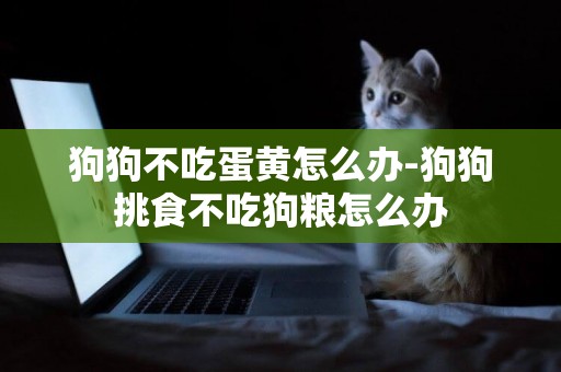 狗狗不吃蛋黃怎么辦-狗狗挑食不吃狗糧怎么辦