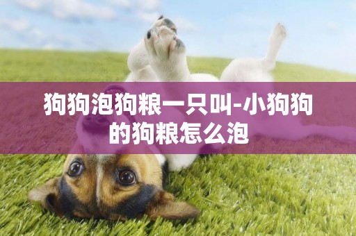 狗狗泡狗糧一只叫-小狗狗的狗糧怎么泡