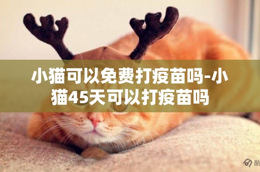 小貓可以免費打疫苗嗎-小貓45天可以打疫苗嗎