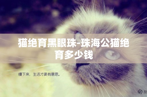 貓絕育黑眼珠-珠海公貓絕育多少錢
