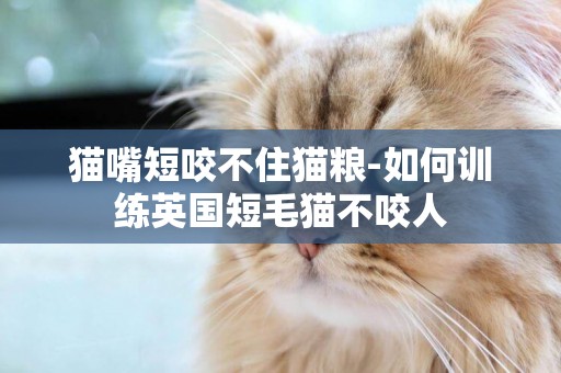 貓嘴短咬不住貓糧-如何訓練英國短毛貓不咬人