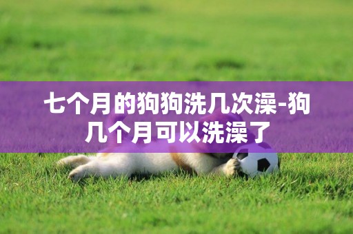 七個月的狗狗洗幾次澡-狗幾個月可以洗澡了