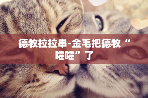 德牧拉拉串-金毛把德牧“嚯嚯”了