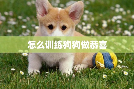 怎么訓練狗狗做恭喜