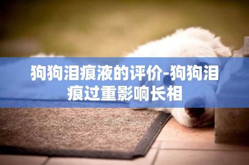 狗狗淚痕液的評價-狗狗淚痕過重影響長相