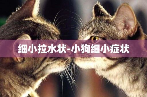 細小拉水狀-小狗細小癥狀