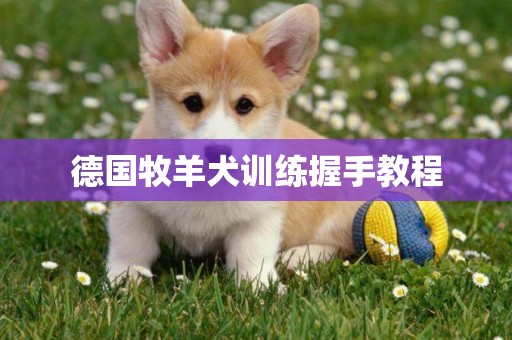 德國牧羊犬訓練握手教程