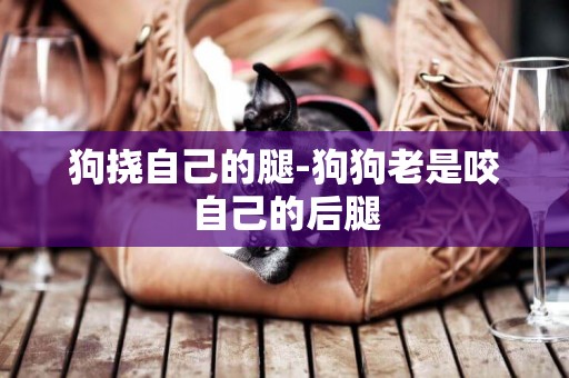 狗撓自己的腿-狗狗老是咬自己的后腿