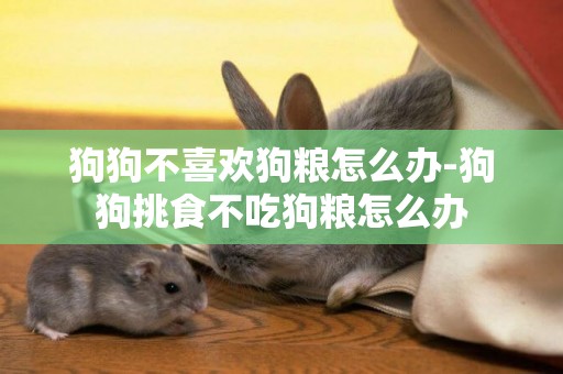 狗狗不喜歡狗糧怎么辦-狗狗挑食不吃狗糧怎么辦