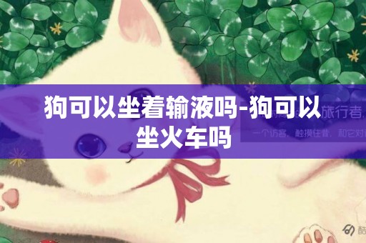 狗可以坐著輸液嗎-狗可以坐火車嗎
