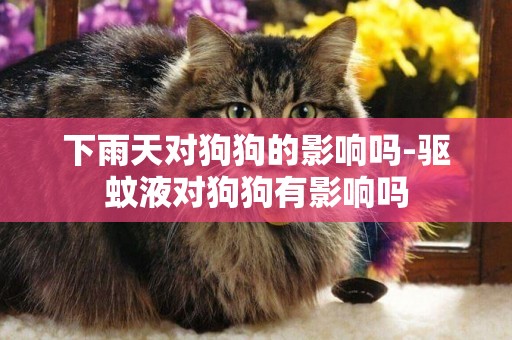 下雨天對狗狗的影響嗎-驅蚊液對狗狗有影響嗎