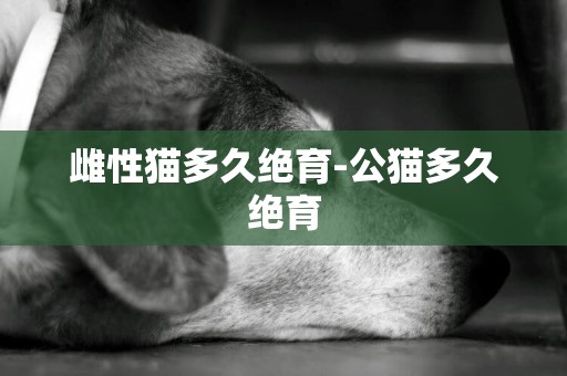 雌性貓多久絕育-公貓多久絕育