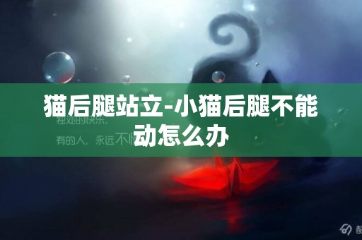 貓后腿站立-小貓后腿不能動怎么辦