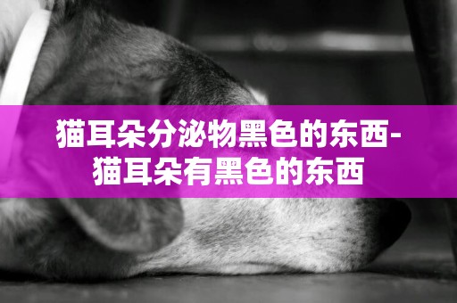 貓耳朵分泌物黑色的東西-貓耳朵有黑色的東西