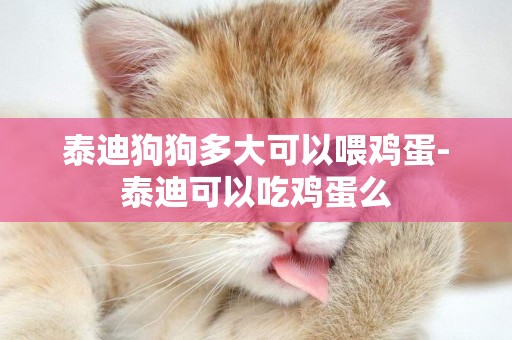 泰迪狗狗多大可以喂雞蛋-泰迪可以吃雞蛋么