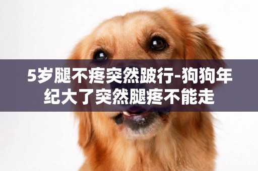 5歲腿不疼突然跛行-狗狗年紀大了突然腿疼不能走