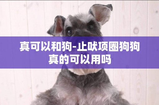 真可以和狗-止吠項圈狗狗真的可以用嗎
