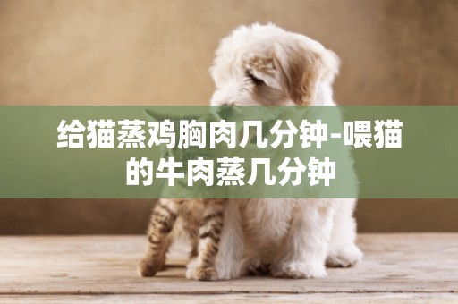 給貓蒸雞胸肉幾分鐘-喂貓的牛肉蒸幾分鐘
