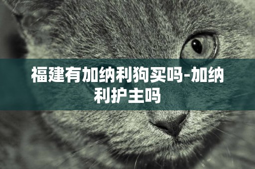 福建有加納利狗買嗎-加納利護主嗎