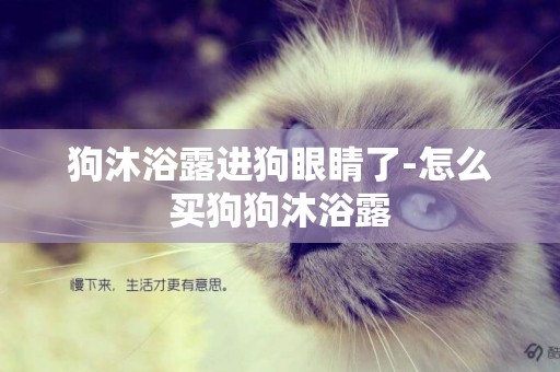 狗沐浴露進狗眼睛了-怎么買狗狗沐浴露