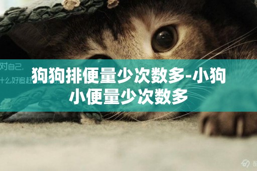 狗狗排便量少次數多-小狗小便量少次數多