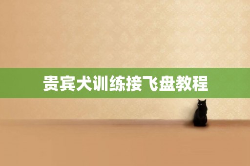 貴賓犬訓練接飛盤教程