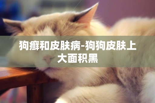 狗癬和皮膚病-狗狗皮膚上大面積黑