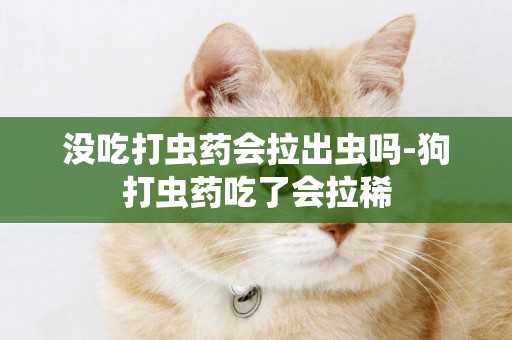 沒吃打蟲藥會拉出蟲嗎-狗打蟲藥吃了會拉稀