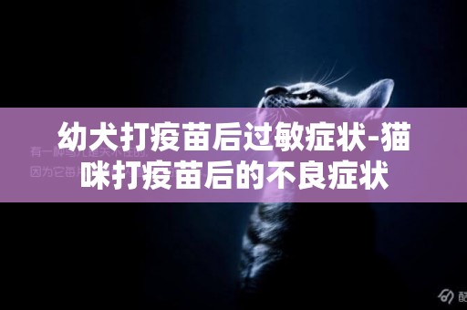 幼犬打疫苗后過敏癥狀-貓咪打疫苗后的不良癥狀