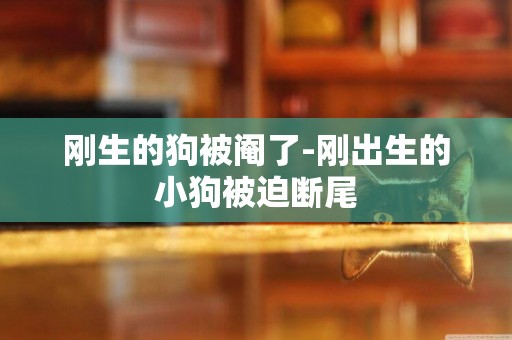 剛生的狗被閹了-剛出生的小狗被迫斷尾
