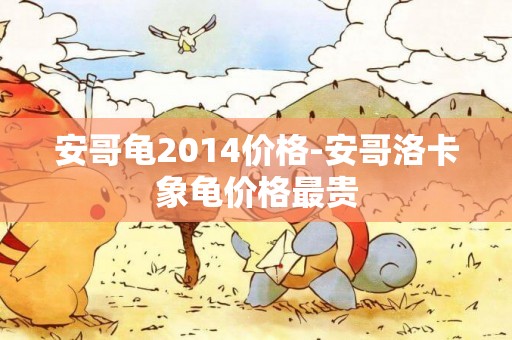 安哥龜2014價格-安哥洛卡象龜價格最貴