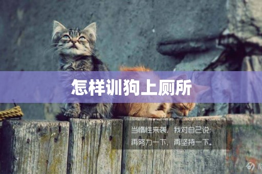 怎樣訓狗上廁所