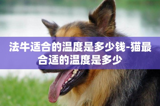 法牛適合的溫度是多少錢-貓最合適的溫度是多少