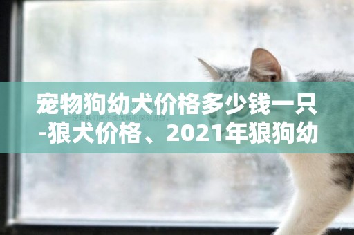 寵物狗幼犬價格多少錢一只-狼犬價格、2021年狼狗幼犬價格多少錢一只