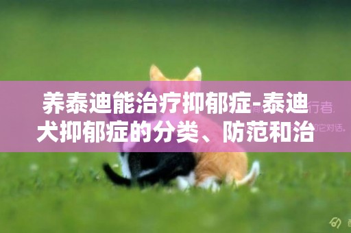 養泰迪能治療抑郁癥-泰迪犬抑郁癥的分類、防范和治療