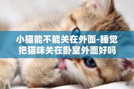 小貓能不能關在外面-睡覺把貓咪關在臥室外面好嗎