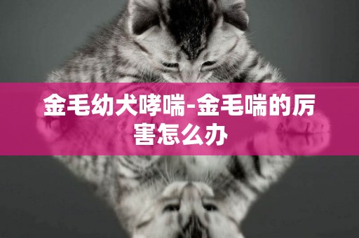 金毛幼犬哮喘-金毛喘的厲害怎么辦