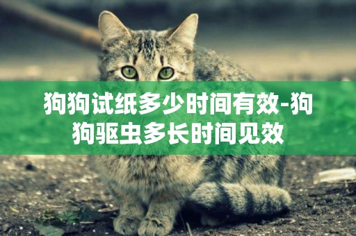 狗狗試紙多少時間有效-狗狗驅蟲多長時間見效