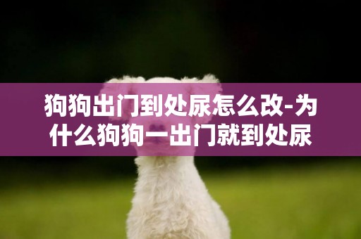 狗狗出門到處尿怎么改-為什么狗狗一出門就到處尿